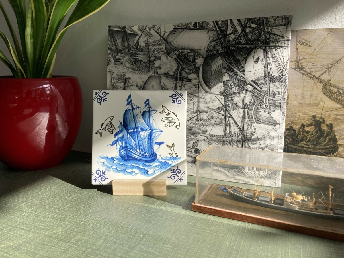 Vliegende vissen - Afbeelding 3